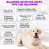Oimmal 15 1 Immunity, 2 oz in Dog Multivitamin, All-in-One Multi Liquid Multivitamin for Dogs, Dog Vitamins