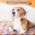 4 Pcs Pet Blanket Dog Puppy Blanket, Paw Print Fleece Blanket for Small Medium Pet Dog Cat, Warm Soft Sleep Mat, Guinea
