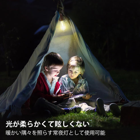 2 Pack Bulb,Portable Backpacking Battery Operated Hanging Tent Light Outdoor Vintage LED Camping Light,Hurricane