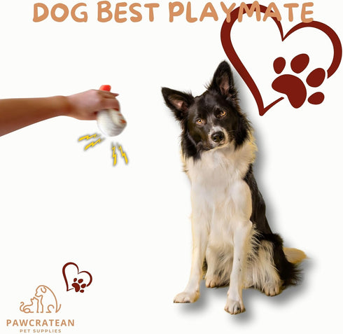7-Inch Plush Squeaky Toy for Small Dogs - Prawn Sushi Design