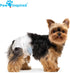 Paw Inspired Disposable Dog Diapers, Ultra Protection for Female Dogs in Heat, 12 & 144 Count, X-Small