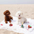 Fringe Studio Plush Dog Toy Set, Champagne Strawberry, 3 Piece Set for Small Dogs