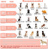 Dog Cone, Dog Surgery Collar, Inflatable Cone for Small Medium Large Dogs, Pink Doughnut Dog Cone Collar, Does Not