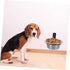Stainless Steel Hanging Dog Bowls, Wall-Mounted Food Dispenser, Collapsible Dog Bowl Set