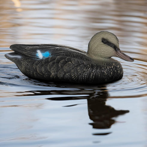Realistic Mallard Duck Models as Decoys and Ornaments Loved by Hunting Enthusiasts