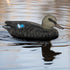 Realistic Mallard Duck Models as Decoys and Ornaments Loved by Hunting Enthusiasts