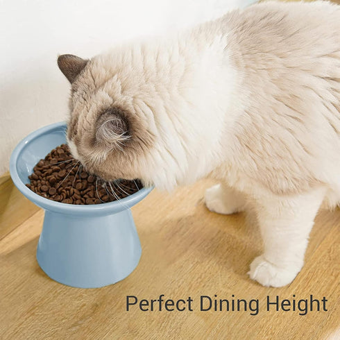 Extra Wide Elevated Cat Bowls, Ceramic Cat Food Bowl 6.2" Raised Dish, Whisker Fatigue Free, Blue