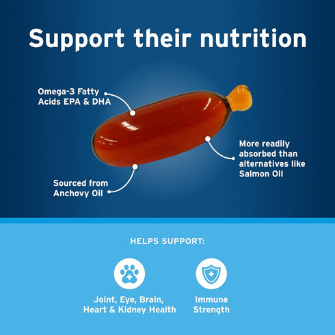 Pet Protect Omega 3 Supplement for M/L Dogs, 60 Capsules