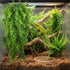 (2 Pack) PINVNBY Reptile Plants Hanging Fake Vines Boston Climbing Terrarium Plant with Suction Cup for Bearded Dragons