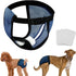 3 Dog Pants in Heat Reusable Diapers with Replace Diaper, Female Dog Heat Cycle Pants Adjustable Protective Pad