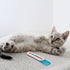 Ipetboom Dog Bowls - Pet Feeder Cat Strip Squeeze Spoon for Wet Cat Treats, Feeding Watering Supplies, Blue Dog Bowl