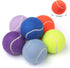 Pet Dog Playing Balls, 6 Pack Advanced Training Tennis Balls for Dogs, Good for Beginner Training, Polychrome Canned
