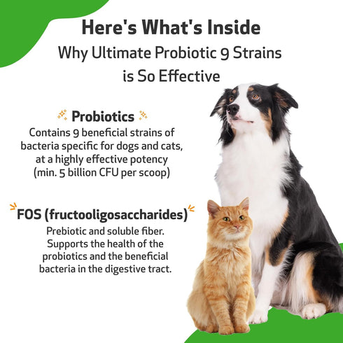 Pet Wellbeing Ultimate Probiotic, 9 Strains for Cats and Dogs, Natural Support for Digestion and Urinary Tract Health
