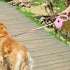 Retractable Dog Leash, 16.4FT for Medium Large Dogs Up to 110lbs, One-Handed Brake, No Tangle Nylon Tape (Pink)