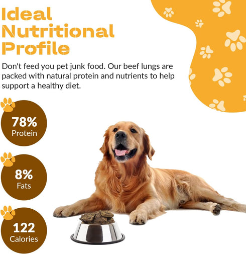 Dog Chits Beef Lung Prime Cuts Dog and Puppy Treats, All Natural, Grain and Chemical Free, 5 oz Bag