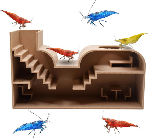 Aquarium Shrimp Rental Studio. Large Shrimp Studio for Rent. All-Inclusive Facility. Luxury