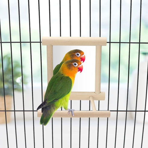 Bird Mirror with Perch, Bird Toys for Parrots, Budgies, Cockatiels, Lovebirds, Finches, Canaries