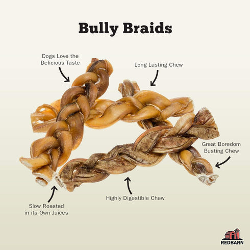 Redbarn 9" Braided Bully Sticks for Dogs - Natural, Grain-Free, Long-Lasting Dental Chews from Grass-Fed Cattle