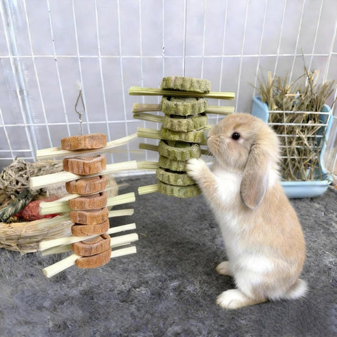 Jwizyotr 2 Chinchillas Rabbit Chew Toys for Teeth PCS Guinea Pig Chews Treats Rat Cage Accessories with Papaya Stems