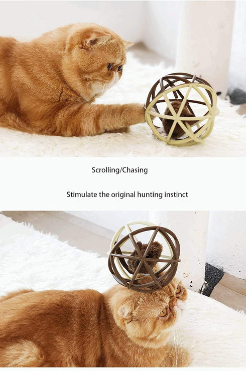 ALBOLET Cat Toy Ball, Cat Mouse Ball Cage, Squeak Mouse Toy, Cat Ball Toy for Fun and Play