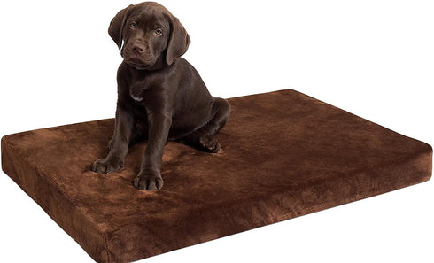 BIRDROCK HOME 3" Memory Dog Bed - Ultra Soft Plush Pet Mat (34 x 22, Brown)