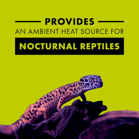Zilla Incandescent Bulb, Night Black, Ideal for Reptile Species Nocturnal