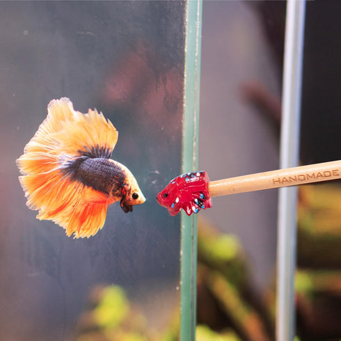 Fish Training Stick Toys, Betta Training Wand for Fish Tank Decor