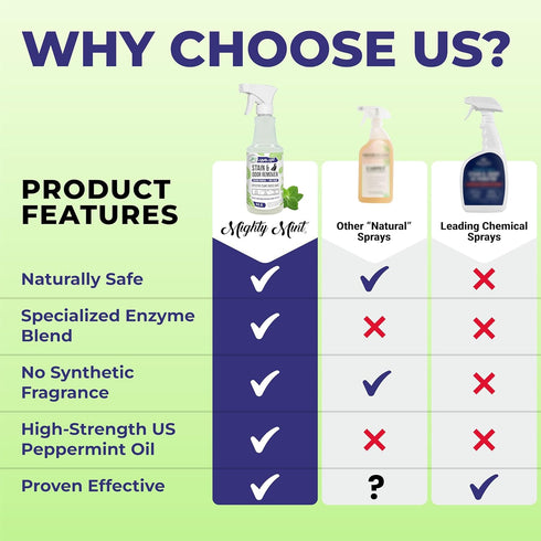 Mighty Mint Stain & Odor Remover, 16oz Natural Enzyme Spray for Safely Neutralizing Odor and Stains from Pets