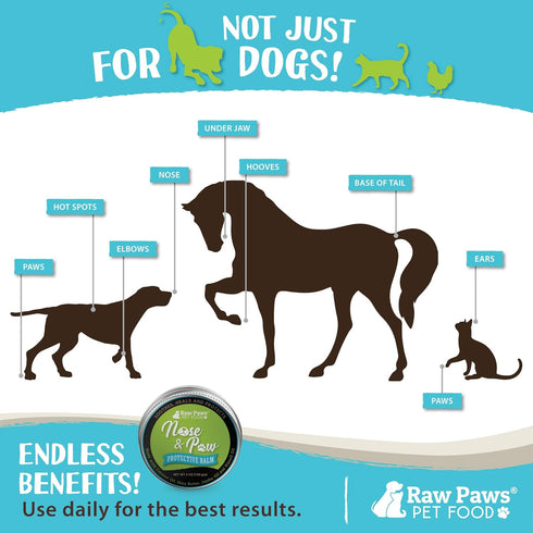 Raw Paws Nose & Paw Balm - Value Size - (4-Ounce) - Dog Nose Balm & Cat Nose Relief for Dogs & Cats
