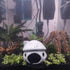 Aquarium Mushroom House Decorations, Small Ceramic Pleco Caves for Betta Fish Tank Accessories