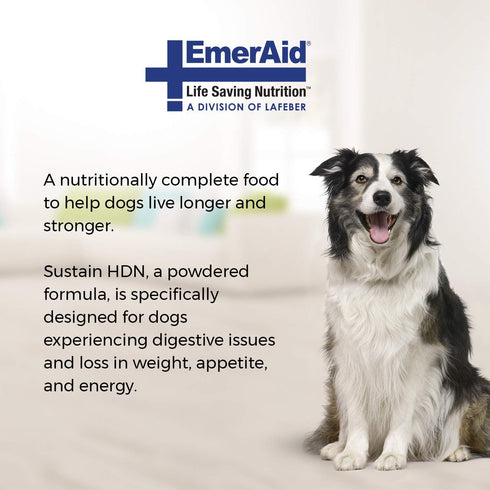 Sustain HDN Life Saving Nutrition for Dogs, Made with Non-GMO and Human Grade Ingredients, 100g Bag