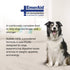 Sustain HDN Life Saving Nutrition for Dogs, Made with Non-GMO and Human Grade Ingredients, 100g Bag