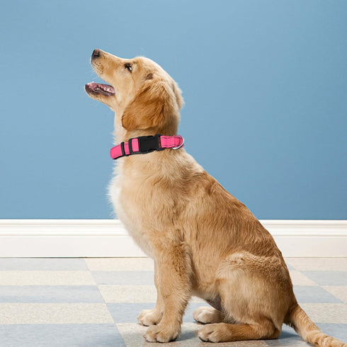 Reflective Dog Collar, Adjustable Soft Neoprene Padded Nylon Collars with Buckle for Extra Large Dogs, Hotpink, XL