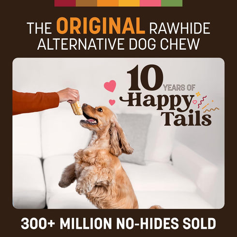 6 Count Earth Animal No Hide Chews - Long Lasting Rawhide Free Small Dog Chews Rolls, Chicken