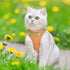 Dog Chain Collar, Diamond Link Walking Necklace with Secure Buckle for Small Medium Large Dogs Cats (Gold, 10 Inch)