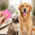 Gsbnjuy 6 Pcs Pets Grooming Comb Kit for Small Dogs Tear Stain Remover Comb Dog Face Combs for Eye Cleaning Gentle