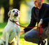 Slip Lead Dog Leash, 6 FT Heavy Duty with Comfortable Padded Handle, Highly Reflective Threads for All Dogs - Red