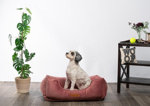Modern Threads Luxury Dog Bed - Comfortable Tufted Velvet Cushion for Small to Large Dogs, Machine Washable, Durable &