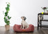 Modern Threads Luxury Dog Bed - Comfortable Tufted Velvet Cushion for Small to Large Dogs, Machine Washable, Durable &