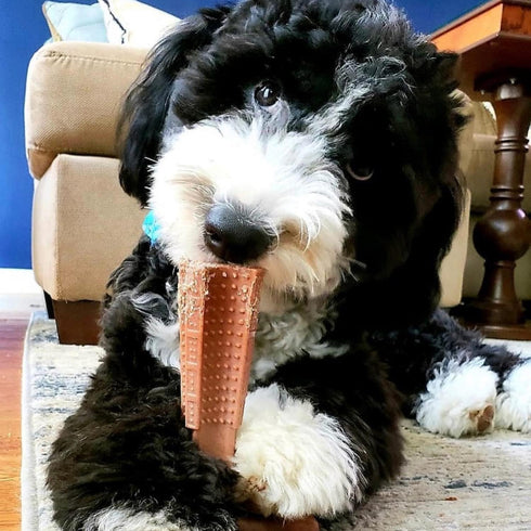 SPOT by Ethical Products 4 in Bambone Plus Easy Grip Dog Chew Bundle - Medium (3 Pack) for Dental Health