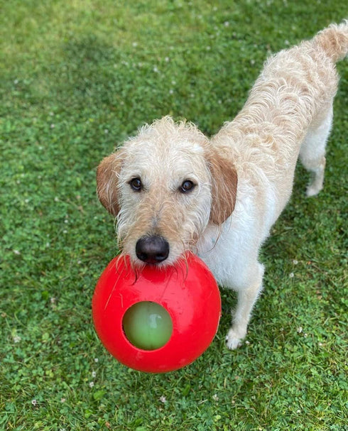 Medium/6 Inches, Jolly Pets Teaser Ball Dog Toy, Red