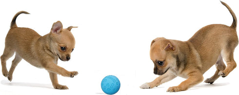 Snug Rubber Dog Balls for Small and Medium Dogs - Tennis Ball Size - Virtually Indestructible (3 Pack)