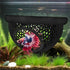 Bingche 6pcs 3-in-1 Hammock Floating Betta Hide Shrimp Cave Aquarium Decor Feeding Ring & Resting Spot for(Pink)