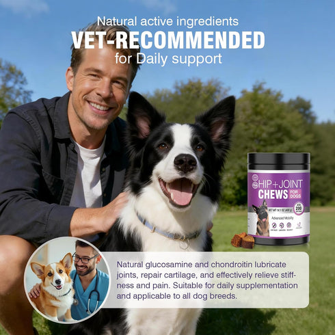 200pcs Glucosamine for Dogs Joint Support Supplement Dog Hip and Joint Chondroitin Chews Treats with MSM Dog Joint Pain