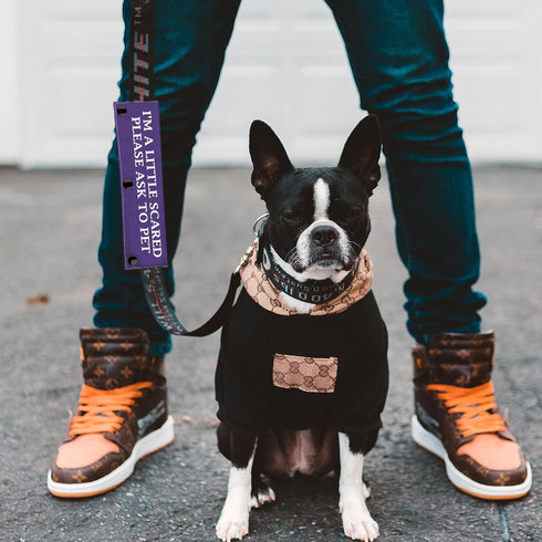 Nervous Dog Leash Sleeve, A Little Scared Please Ask to Pet Leash Wrap, Social Distancing Gift