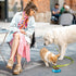 6 Pack 7oz Stainless Steel Dog Bowls, Mini Colorful Anti Slip Dishes for Kittens and Puppies