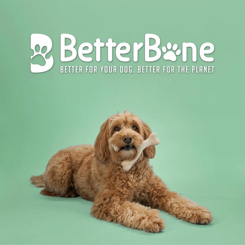 All-Natural, Nylon-Free Dog Chew Toys - Medium Density - Ideal for Moderate to Strong Chewers - Non-Toxic, Promotes Dental Health, Splinter-Resistant, Sustainably Made
