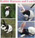 ASOCEA Adjustable Bunny Harness and Leash - Breathable Mesh Vest for Small Animals - Black M