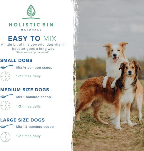 Canine Super Immune Human Grade Powdered Dog Immune Booster with Beet, Chlorella, & Medicinal Mushroom Blend (100g)