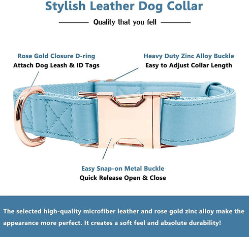 Soft Leather Dog Collar and Leash Set (6.6'), Stylish Rose Gold Heavy Duty Metal Buckle, 4 Adjustable Lengths for Small